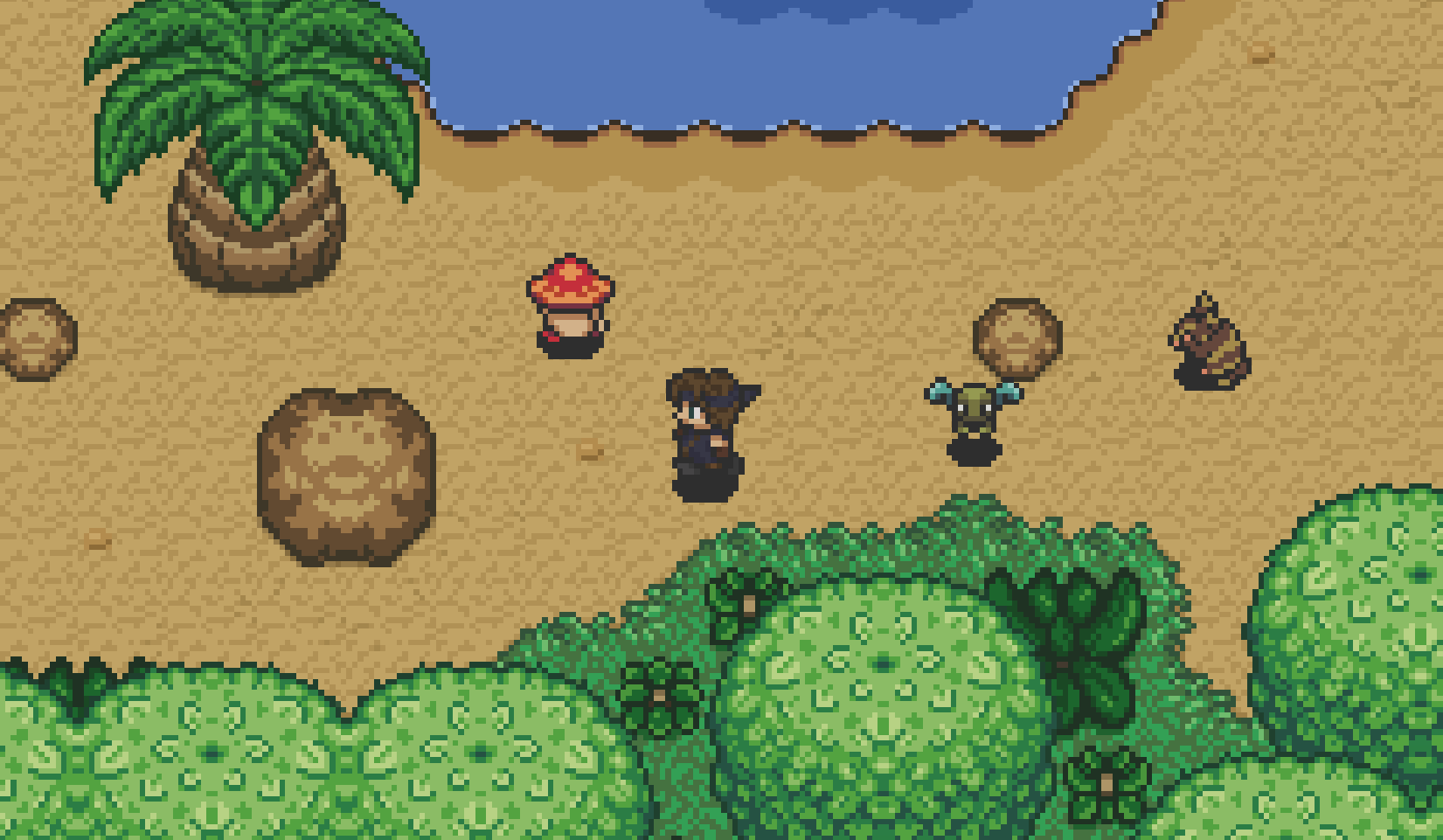 Strolls along the beach. #wildlife